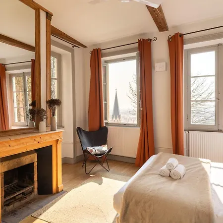 Duplex Jardin Prive Et Vue Sur Le Vieux-Lyon * Lyon
