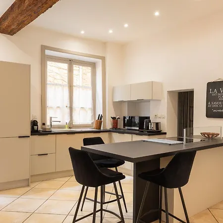 Apartment Duplex Jardin Prive Et Vue Sur Le Vieux-Lyon *