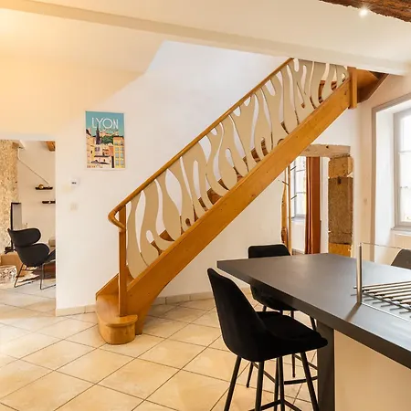 Duplex Jardin Prive Et Vue Sur Le Vieux-lyon * Lyon