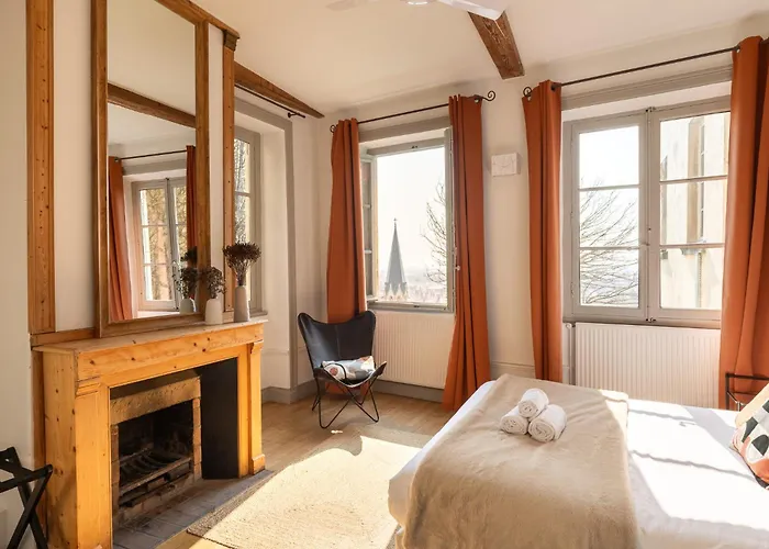 Duplex Jardin Prive Et Vue Sur Le Vieux-Lyon * Lyon