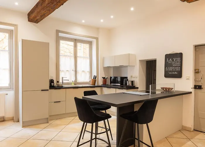 Apartment Duplex Jardin Prive Et Vue Sur Le Vieux-Lyon *