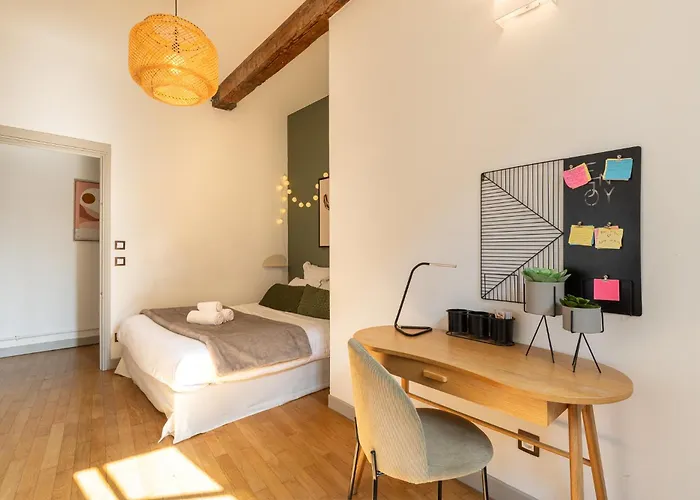 Apartment Duplex Jardin Prive Et Vue Sur Le Vieux-Lyon *