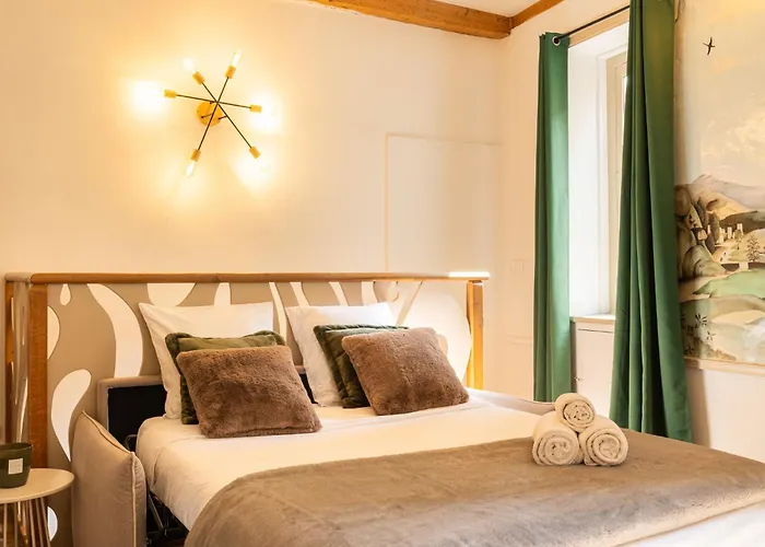 Duplex Jardin Prive Et Vue Sur Le Vieux-Lyon *