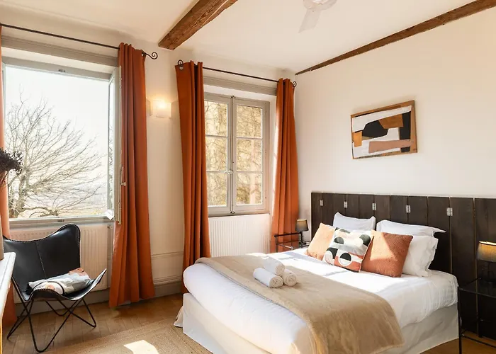 Duplex Jardin Prive Et Vue Sur Le Vieux-Lyon Apartment Lyon