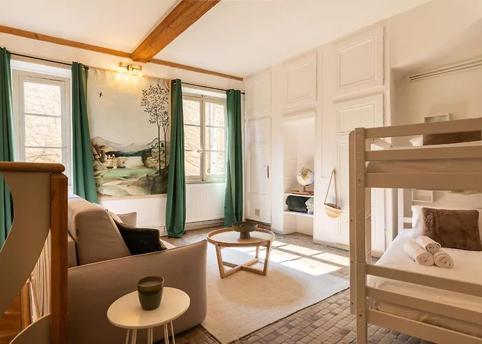 Duplex Jardin Prive Et Vue Sur Le Vieux-Lyon Apartment *